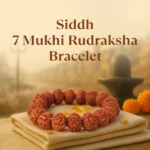Kashi Siddh 7 Mukhi Rudraksha Bracelet