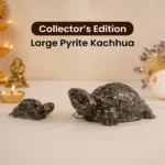 Collector’s Edition Pyrite Tortoise (Kachhua)
